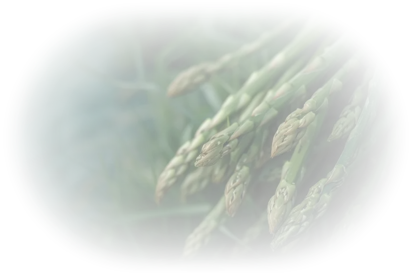 高級グリーンアスパライメージ