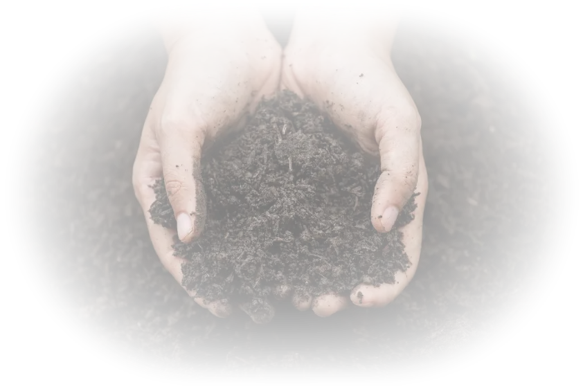 こだわりの土壌イメージ